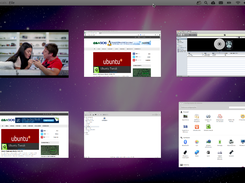 Lizard OS Screenshot 6
