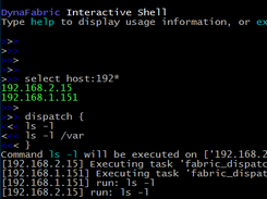 A typical interactive DynaFabric shell session.