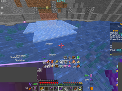 DynamicClient (Minecraft) Screenshot 2