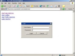 Custom login prompt generated with Dynwin