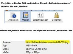 Auslesen des Picturelinks (Optional)