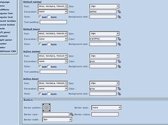 e-vision site css