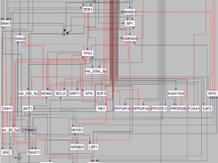 Boolean Simulation of Bladder cancer core regulatory network