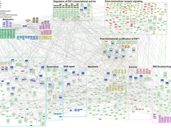 of E2F1 in tumor progression and metastasis. 