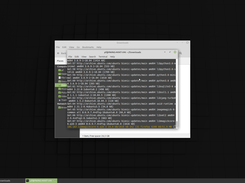 Easeit.sh BETA 2.0 running in Linux Mint 19.3 MATE