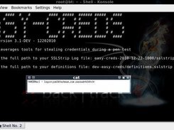 SSLStrip file Parser