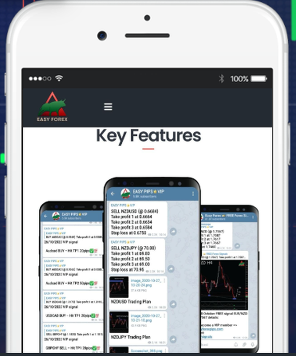 Easy Forex Pips Screenshot 1