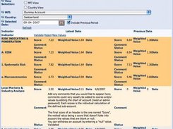 Due diligence / Internal rating (customization web based)