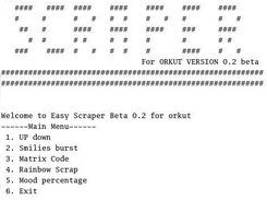 Console screen of project