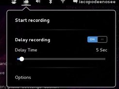EasyScreenCast Screenshot 1