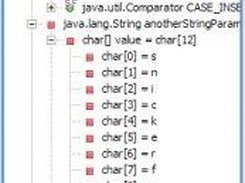 You can view the private and public fields of an instance.
