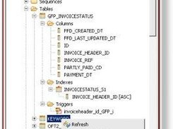 Examining the database structure