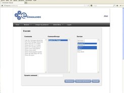 Execution Page