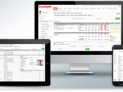 EcosAgile Project&Timesheet Screenshot 1