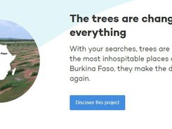 Ecosia Screenshot 2