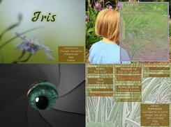 Iris