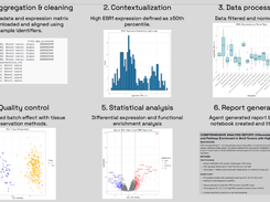 Edison Analysis Screenshot 1