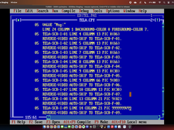 Screen Section sample code generated by EDITEL