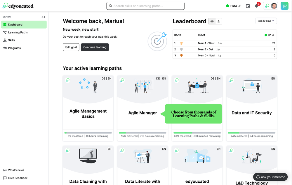 Home Page of the learner, displaying the active learning paths with a progression bar, the leaderboard as well as the navigation on the left. 