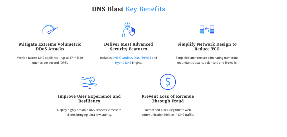 EfficientIP DNS Blast Screenshot 1