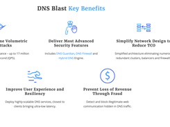 EfficientIP DNS Blast Screenshot 1