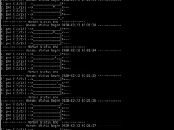 Terminal output