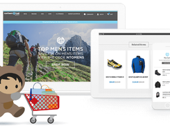 Salesforce Commerce AI Screenshot 3