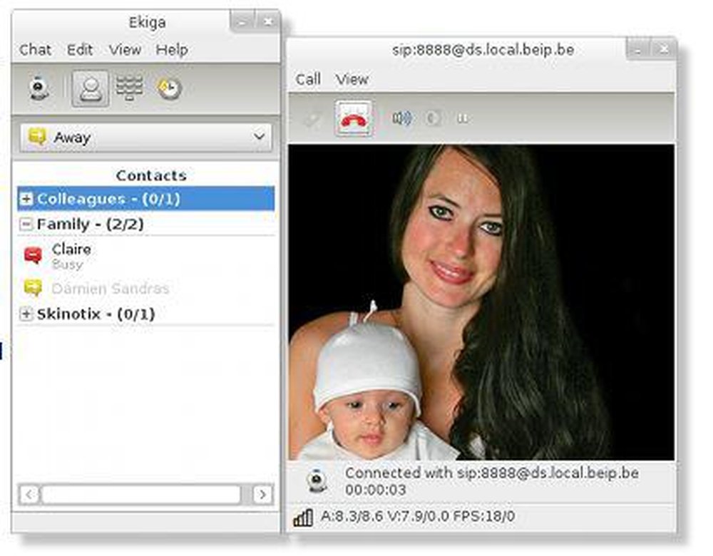 Ekiga Screenshot 1