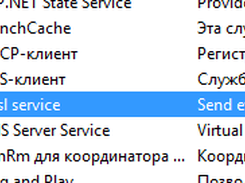 Service view v1.5