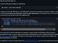 Elastic APM Node.js Agent Screenshot 1