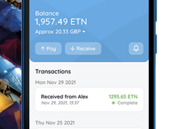 Electroneum Screenshot 1