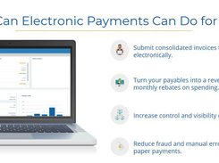 Electronic Payments Screenshot 1