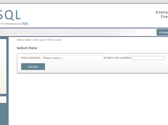 Pupil Interface 'Select Data'