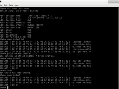 ELF Workbench - Dump and Patch