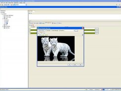 Blob & Image Viewer