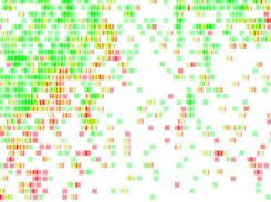 Genetic Distribution Stage 3 Data