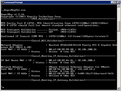 EnguiMapCLI Running on Windows 2008 Server with Virtual VMWare Interfaces Displayed