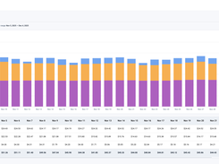 Per day / project cost overview