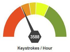 Typing Test / Data Entry Test Score Report