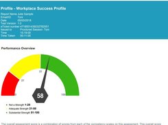 Workplace Success Profile