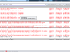 Empty Directories Finder Screenshot 2