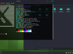Enan-OS Screenshot 2