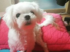 encryption-and-decryption-py Screenshot 1