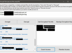 Image of app after granting access to a domain user