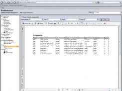 Endeavour Project Member Assignments Report