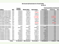 Endowment Manager Screenshot 3