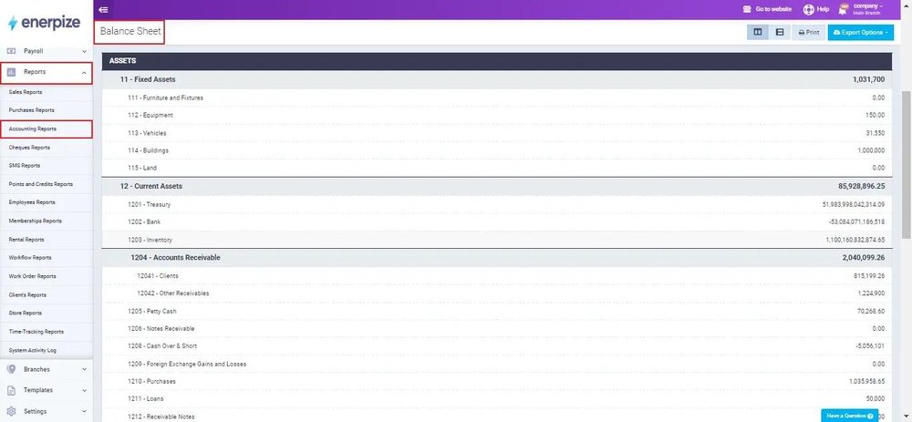 balance sheet in Enerpize