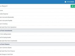 enerpize cash flow report