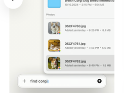 Eney Screenshot 2