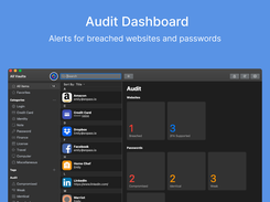 Audit Dashboard